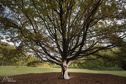 wedding iasi- wedding moldova- wedding destination- wedding photographer